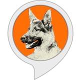Watchdog