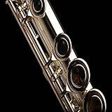 Flute Sheet Music Videos
