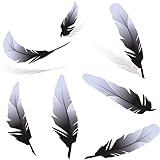 Wildlife Biology-Call of the Wild Book 1-Feathers and Wings