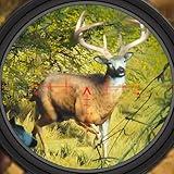 Deer Hunter 2025 : Marksman Sniper Hunting Games