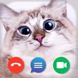 Fake Call: Cat