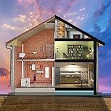 Home Design : Amazing Interior