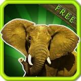 Animal Sounds for Kids