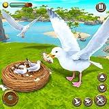 Seagull Bird Family Life Simulator