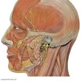 Physical Therapy And Rehabilitation