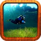 Guide to Scuba Diving