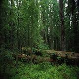 Wildlife Biology-Call of the Wild Book 1-Habitat